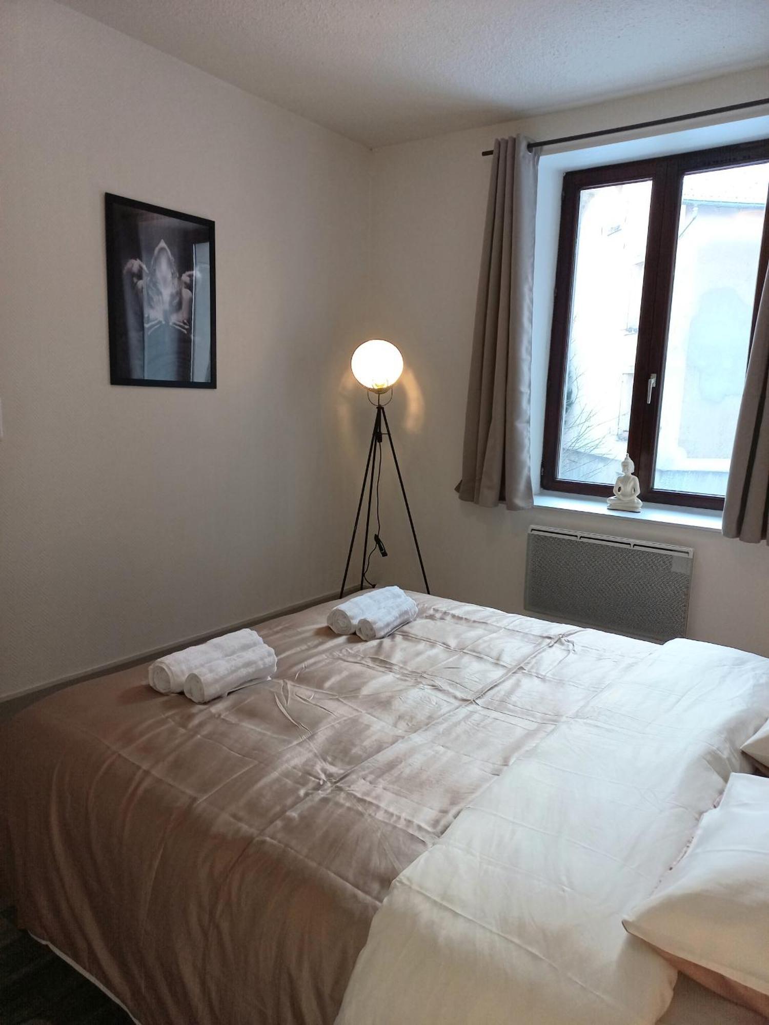 Appartement Les Iris, Au Calme, Proche Du Centre Remiremont Zewnętrze zdjęcie